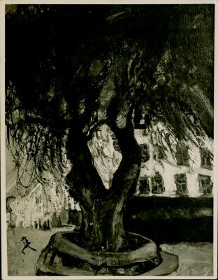[foto-17-02] 